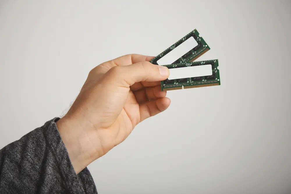 Memory modules held in hand